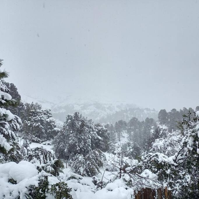 Cabana De Montana Rodeada De Naturaleza By Chakana Lodge El Penon サンマルティン エクステリア 写真