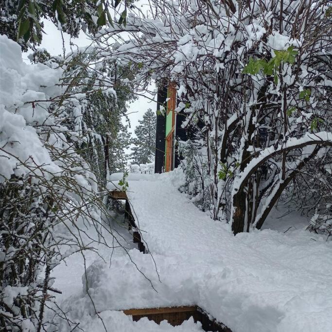 Cabana De Montana Rodeada De Naturaleza By Chakana Lodge El Penon サンマルティン エクステリア 写真