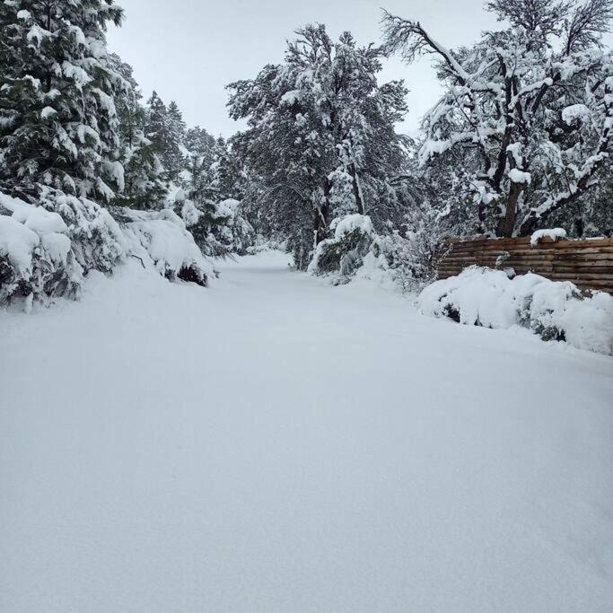 Cabana De Montana Rodeada De Naturaleza By Chakana Lodge El Penon サンマルティン エクステリア 写真